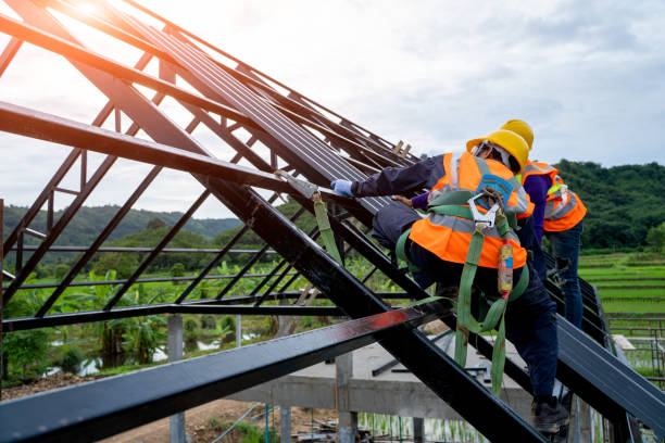 Best Roof Gutter Cleaning  in Altamont, KS